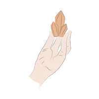 Transparenz