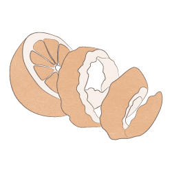 Orangenschale